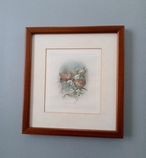 Mike Jackson Framed Print (383/600) 'Wrens on Mistletoe'.  See photos etc.