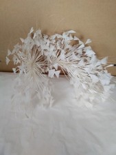 White coque and burnt peacock