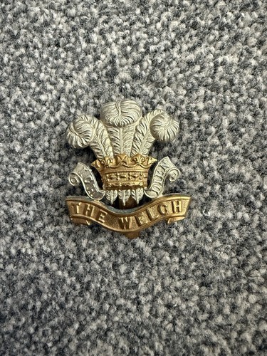 Cap badge from the - cap,
