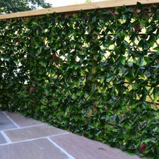 Garden Screening Trellis