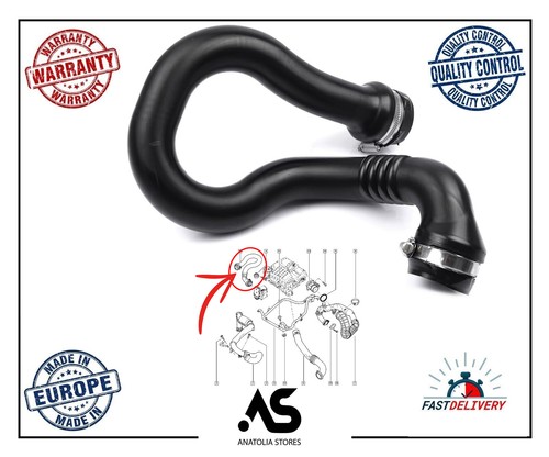 Intercooler pipe turbo - intercooler, hose