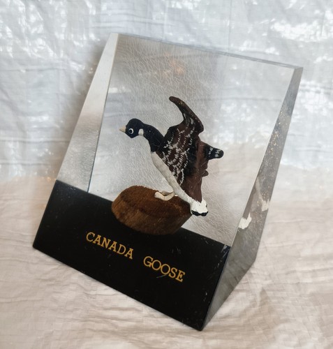 Vintage lucite canada goose - vintage,