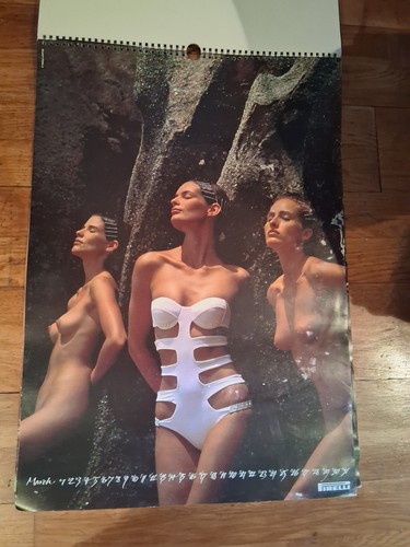Vintage 1993 pirelli calendar - 1993,