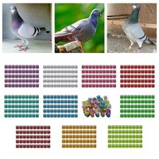 50x Reusable Racing Pigeon Leg