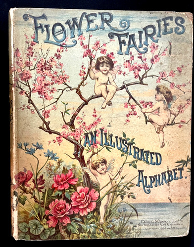 Flower fairies illustrated - flower,