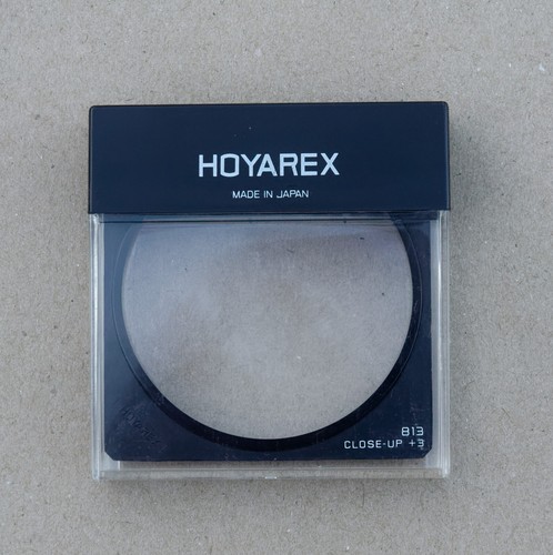 Hoyarex close 3 - hoyarex,