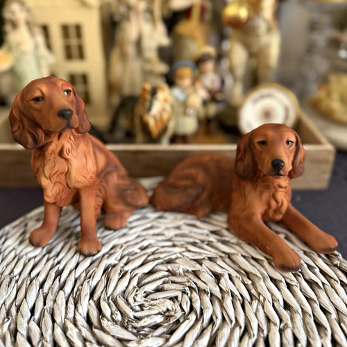 Alpha set irish setter - alpha,
