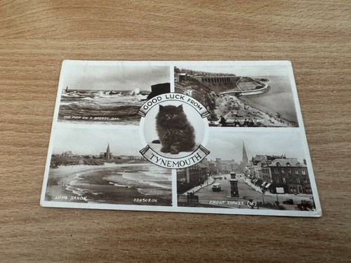 Postcard tynemouth - postcard,