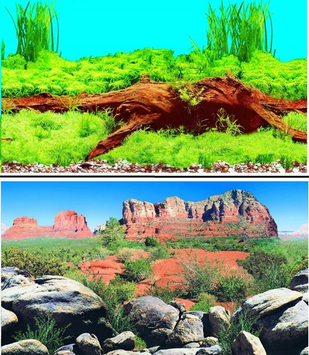 Aquarium fish tank - aquarium,