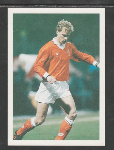 Bergkamp holland barratt - ,