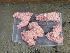 Aqua Forrest Marine Rock