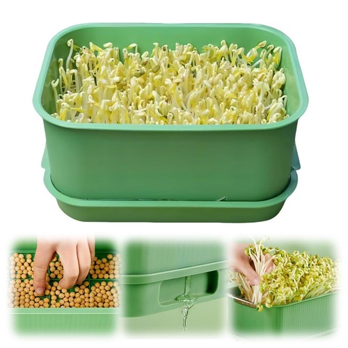 Seed sprouter kits bean - sprouter,