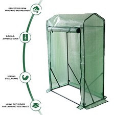 Weatherproof tomato - weatherproof,