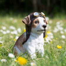 Small Aeroplane Pilot Puppy