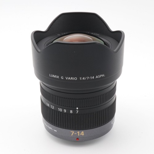 Panasonic lumix vario - g,