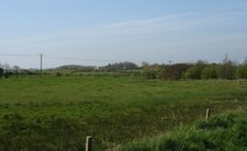 Photo 6x4 Wet grazing land