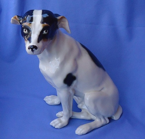 Fox terrier jack - jack, russell