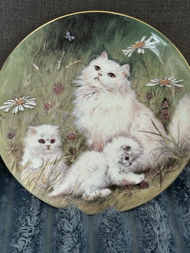 Royal worcester cats and - worcester,