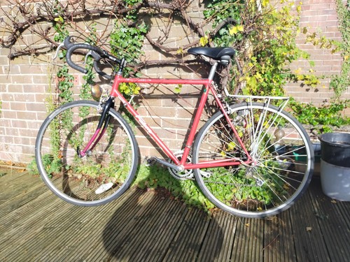 Falcon prestige reynolds - prestige, 531