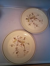 Two Royal Doulton Wild Cherry