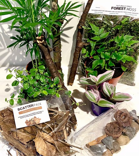 Terrarium decor kit - decor, (medium)