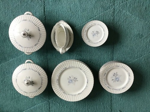 Paragon china morning rose - china,