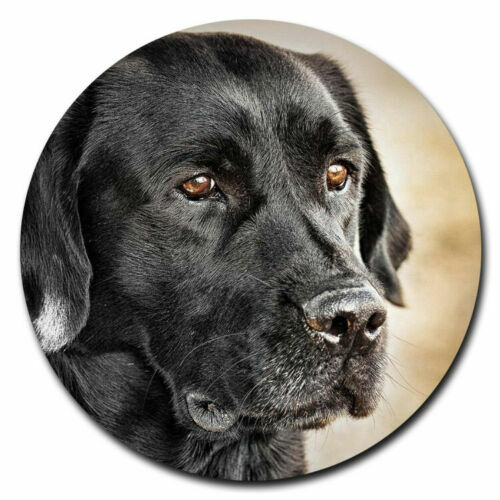 Black labrador dog pendant - labrador,