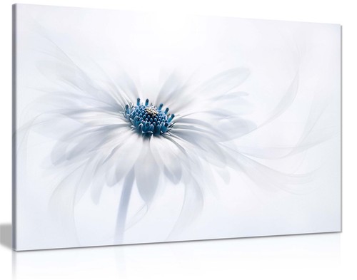 Daisy flower blue pollen - daisy,