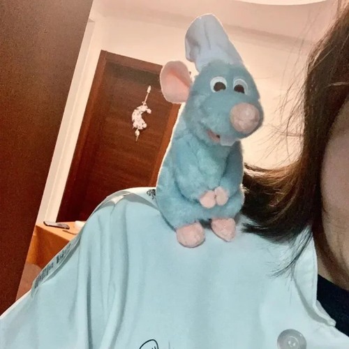 Disney ratatouille remy - ratatouille,