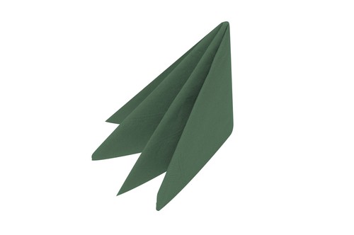 100 mountain pine - 100, x