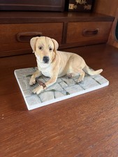 Large Sherratt & Simpson Model