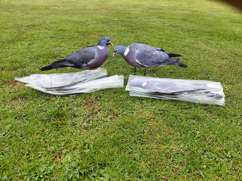 Pigeon silhouette decoys - pigeon,