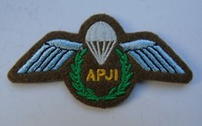 British Army Assistant Parachute Jump Instructor Badge/Wing - APJI