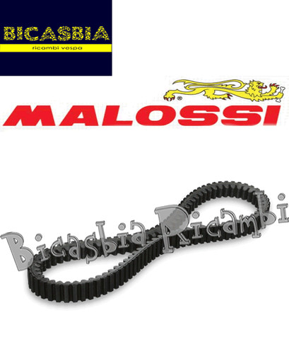 12095 variator belt malossi - belt,