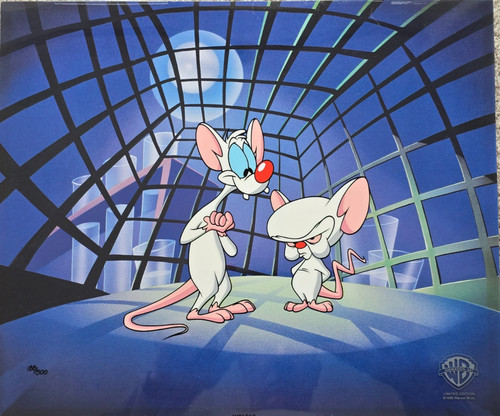 Pinky and the brain - and,