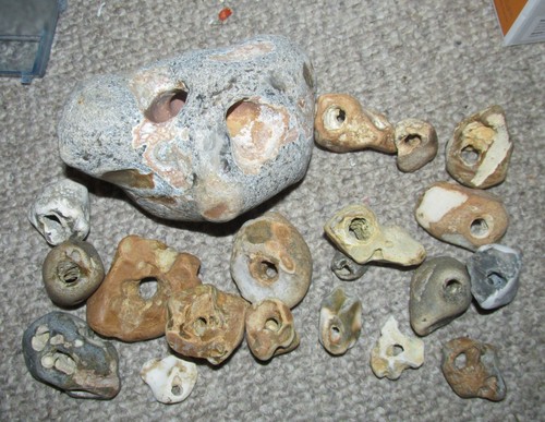 Hag stones job - x, 20