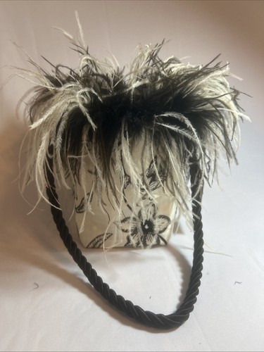 Ostrich feather box - feather, hand