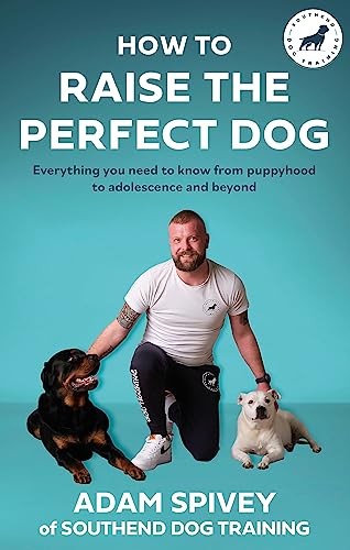 How raise the perfect - how,