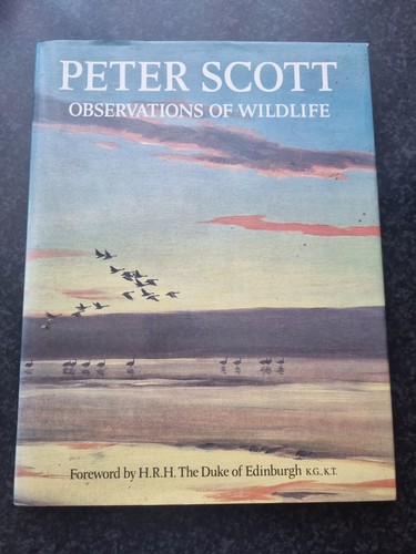 Observations wildlife peter - observations, of