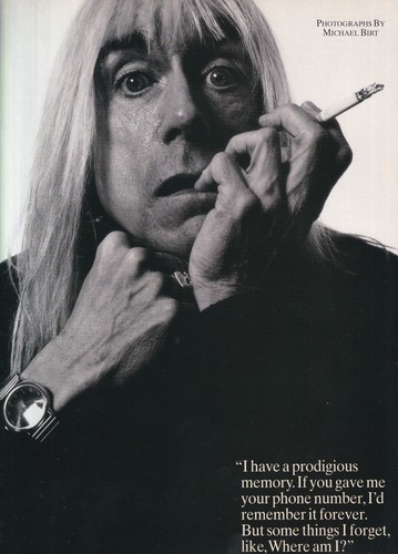Iggy pop mini - iggy,