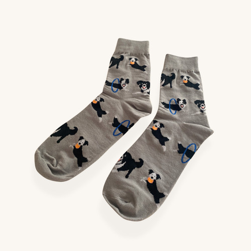 Border collie agility - agility, socks