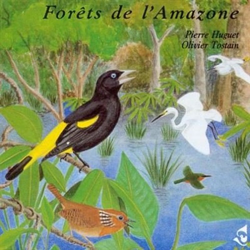 Ambiances amazone birds - l'amazone,