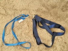 Ancra International Adult