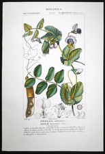 1831, TURPIN ORIGINAL FINE