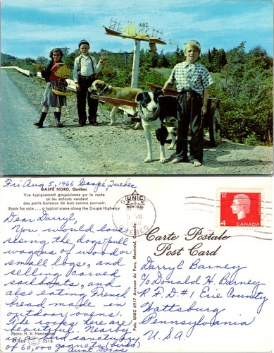 Gaspe quebec boy - boy, oxen