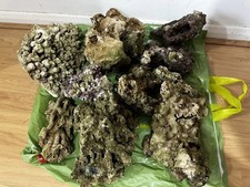 15 kg Dried Live Rocks / Reef Rocks for Marine / Salt Water Aquarium