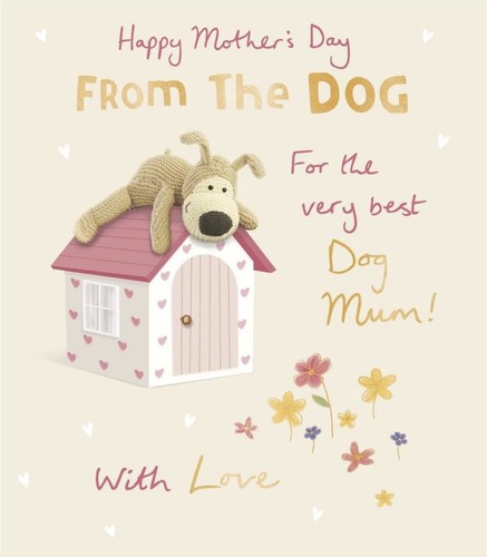 Boofle from the dog mother - dog, mother's