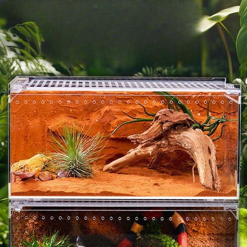 Reptile terrarium professional - terrarium,