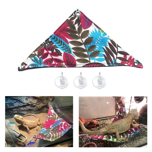 Reptile lizards hammock - lizards,