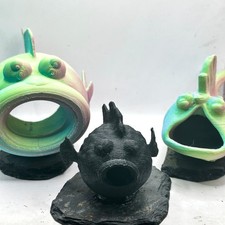 Pleco Catfish, Cichlid